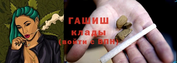 прущие грибы Коряжма