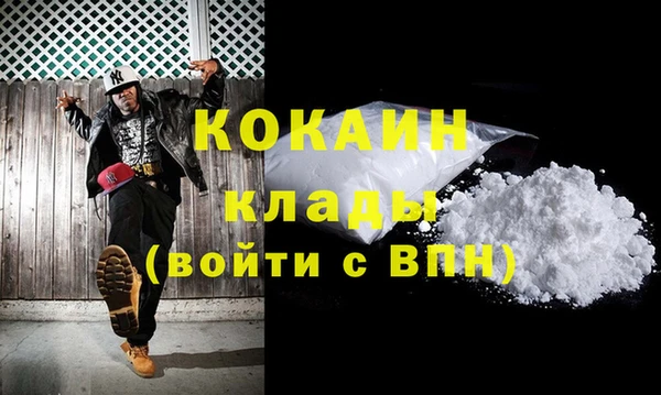 прущие грибы Коряжма