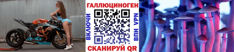 Псилоцибиновые грибы MAGIC MUSHROOMS  магазин  наркотиков  Кириллов 